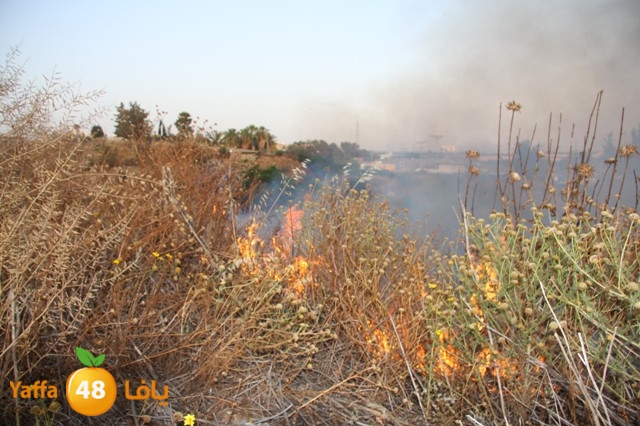 fireina7rashyaffa505 (21).JPG